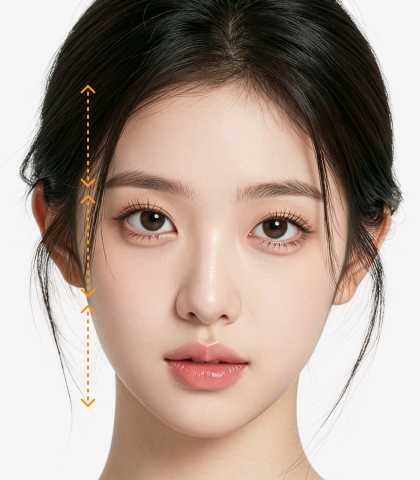 여성헤어라인