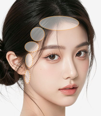 여성헤어라인